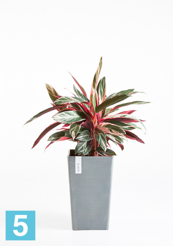 Высокое кашпо Ecopots Rotterdam-MH, серое 30-l, 30-w, 50-h