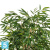 Лонгифолия Роял искусственная TREEZ Collection 180h