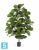 Фикус Лирата искусственный TREEZ Collection 130h