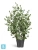 Искусственный Эвкалипт TREEZ Collection припылённо-зеленый куст 92h