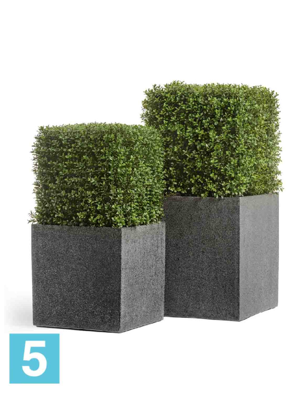 Самшит квадрат искусственный TREEZ Collection уличный на каркасе 72h