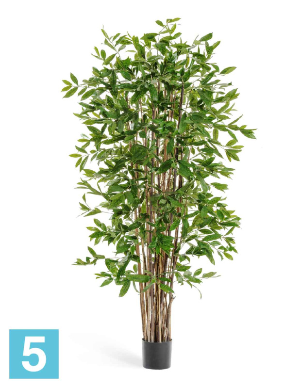 Драцена искусственная TREEZ Collection Саркула Спотти 210h