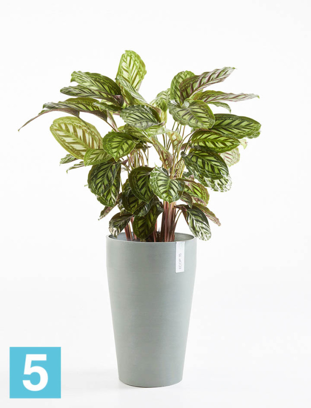 Высокое кашпо Ecopots Sankara-MH, серо-голубое 35-d, 55-h