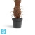 Пальма Вашингтония искусственная TREEZ Collection 120h