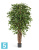 Фикус искусственный TREEZ Collection Бенджамина Лиана Де Люкс 180h Фикус искусственный TREEZ Collection Бенджамина Лиана Де Люкс 180h