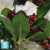 Композиция в интер. вазе искусственная Alseed, h-130  см.