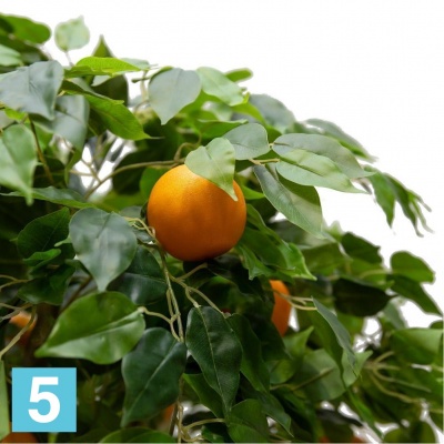 Апельсиновое дерево искусственное Alseed, h-180 см., латекс в Москве