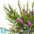 Ветка искусственная Alseed, *7 Ветка искусственная Alseed, *7