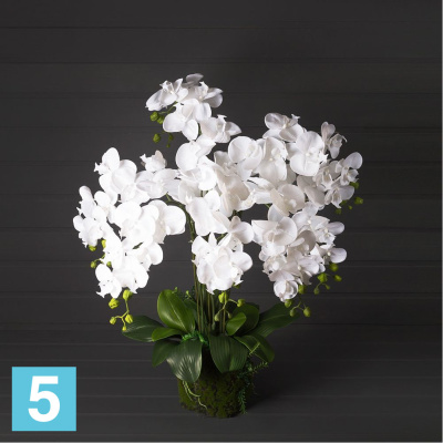 Орхидея искусственная Alseed, h-70 см., латекс, на мшистой кочке