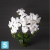 Орхидея искусственная Alseed, h-70 см., латекс, на мшистой кочке