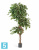 Фикус искусственный TREEZ Collection Бенджамина Селеста 210h