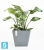 Напольное кашпо Ecopots Rotterdam, серое 50-l, 50-w, 44-h