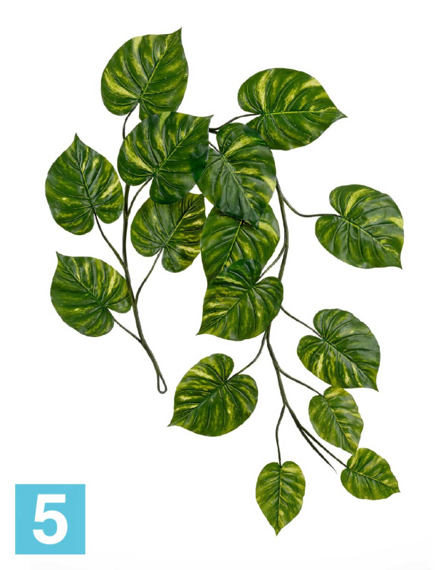 Искусственный Потос Giant лиана TREEZ Collection 240h