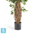 Фикус искусственный TREEZ Collection Лиана Де Люкс 180h