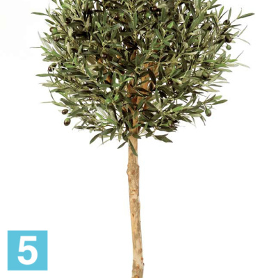 Олива искусственная TREEZ Collection Шар на штабме с плодами 140h в #REGION_NAME_DECLINE_PP#