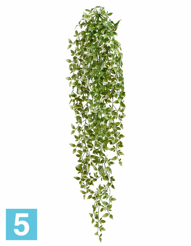 Традесканция искусственная TREEZ Collection светло-зеленая