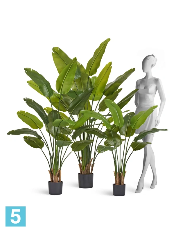 Искуственная стрелиция New Style (Sensitive Botanic) TREEZ Collection 110h