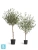 Олива искусственная TREEZ Collection Топиари Нэйчерел (серия Prime) 130h Олива искусственная TREEZ Collection Топиари Нэйчерел (серия Prime) 130h