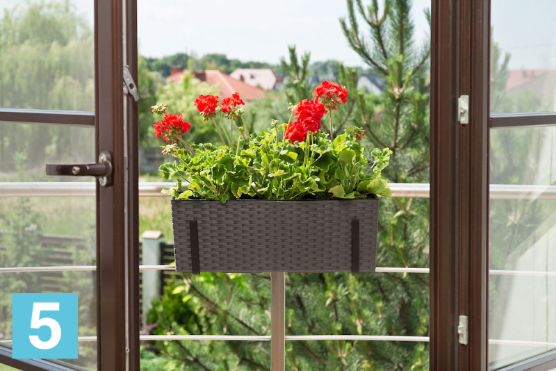 Кашпо Lamela Begonia Rattan, черное 56-l, 19-w, 19,5-h