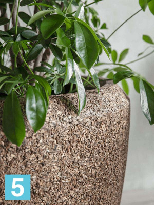 Кашпо Naturescast couple d-65 h-65 см