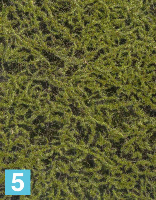 Мох Сфагнум Fuscum оливково-зелёный (полотно среднее) искусственный TREEZ Collection 50h в #REGION_NAME_DECLINE_PP#