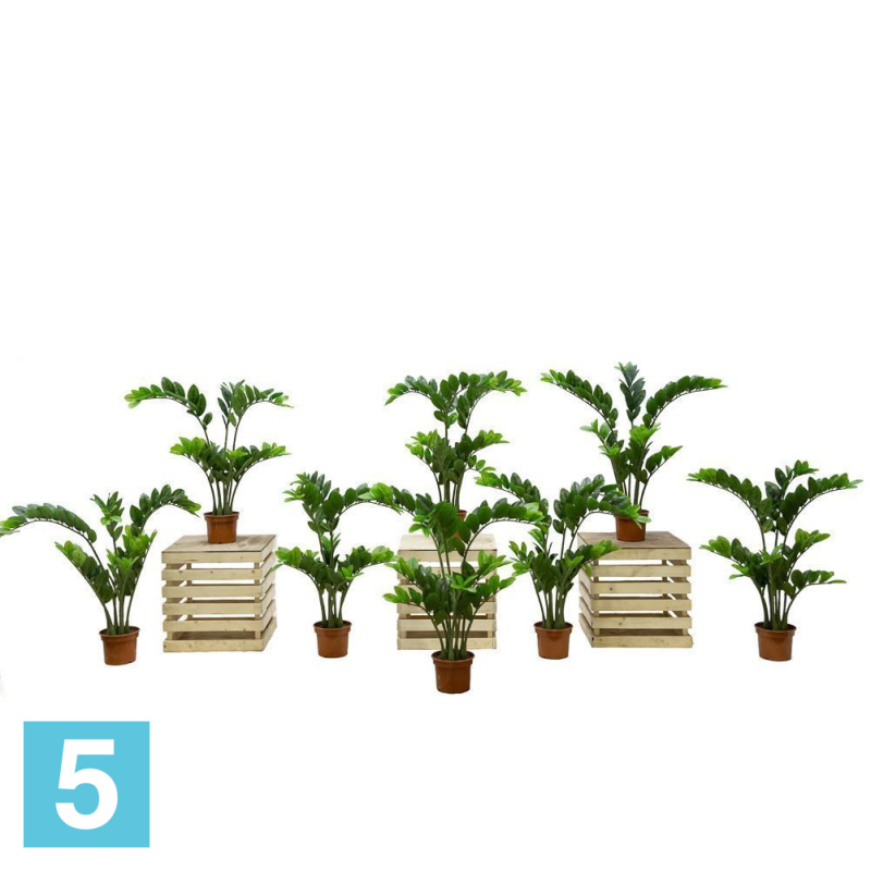 Замиокулькас куст искусственный Alseed, h-70 см.