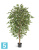Фикус искусственный TREEZ Collection Фолиа пестрый 130h