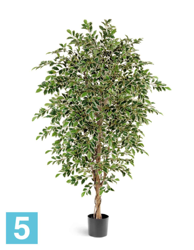 Фикус искусственный TREEZ Collection Фолиа пестрый 130h