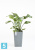 Высокое кашпо Ecopots Rotterdam-MH, серое 30-l, 30-w, 50-h