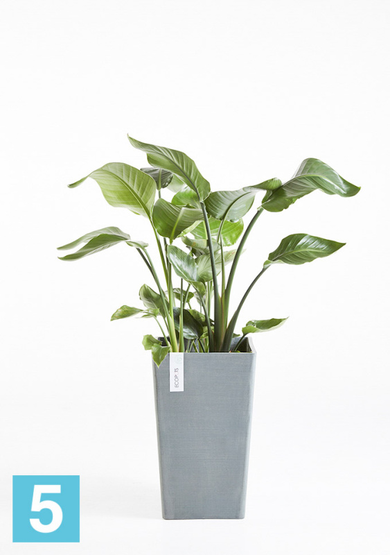 Высокое кашпо Ecopots Rotterdam-MH, серое 30-l, 30-w, 50-h