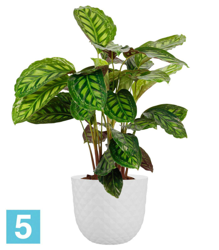 Напольное кашпо Artevasi Havana Tropical, белое 50-d, 42-h