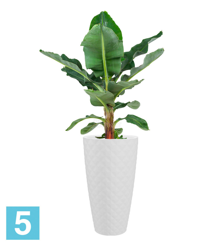 Высокое кашпо Artevasi Havana Tropical High со вставкой, белое 40-d, 70-h