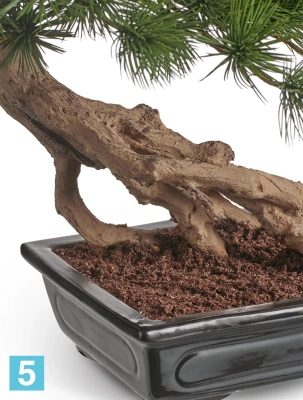 Бонсай искусственный стелющийся TREEZ Collection Сосна Японская белая Негиши в керамическом кашпо 55h