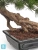 Бонсай искусственный стелющийся TREEZ Collection Сосна Японская белая Негиши в керамическом кашпо 55h