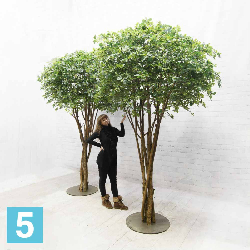 Шеффлера искусственная Alseed, h-320 см. на основании