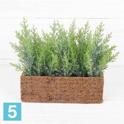 Туя искусственная Alseed, патина, h-15 см. в кокос. боксе, 25*8*8