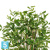 Драцена искусственная TREEZ Collection Саркула Спотти 210h