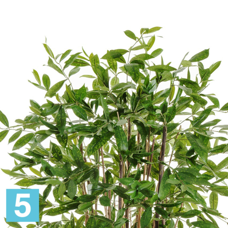 Драцена искусственная TREEZ Collection Саркула Спотти 210h