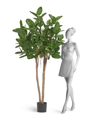 Фикус Одри Бенгальский искусственный TREEZ Collection 200h