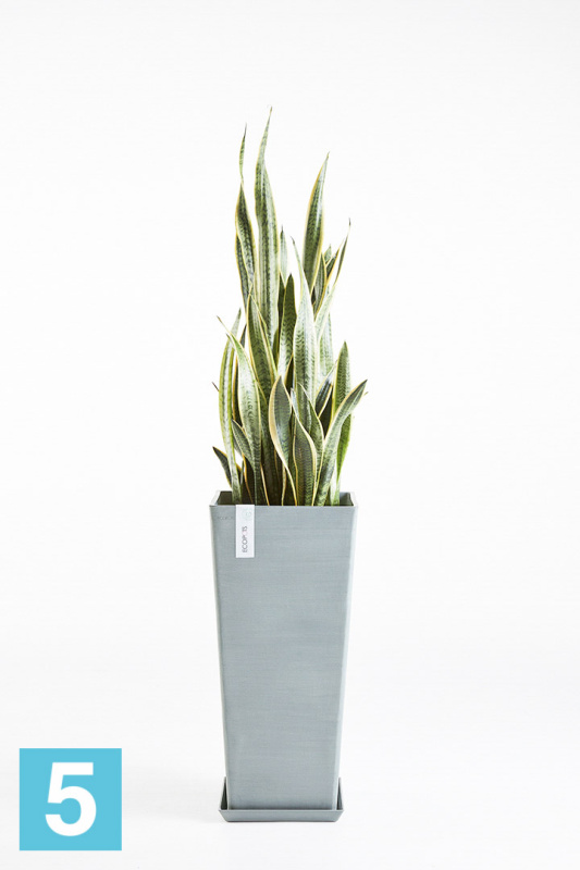 Высокое кашпо Ecopots Rotterdam-H, серо-голубое 32-l, 32-w, 70-h