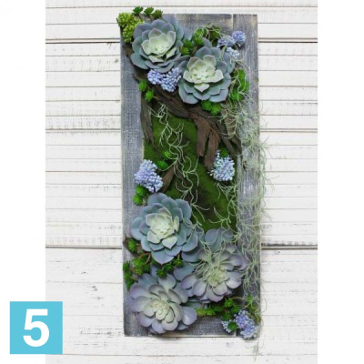 Фитокартина с суккул. в дер.раме искусственная Alseed, гол, 25*59