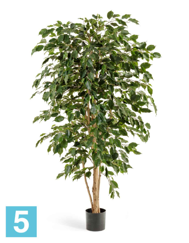 Фикус искусственный TREEZ Collection Бенджамина Нитида 150h