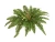 Искусственный Папоротник Бостон Новый натуральный зеленый TREEZ Collection 65-d, 30-h