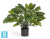 Калатея крупнолистная искусственная TREEZ Collection в горшке 85h