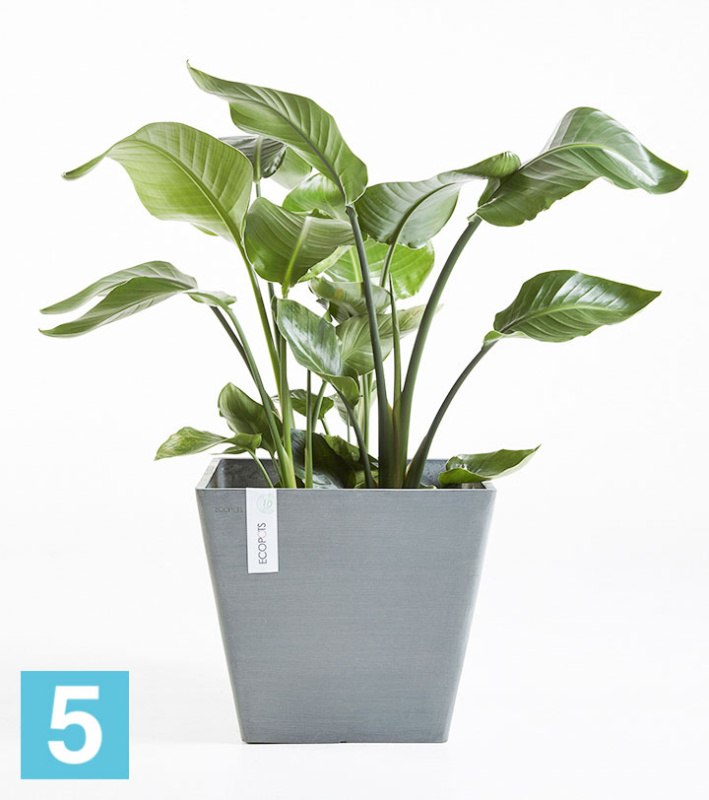 Напольное кашпо Ecopots Rotterdam, серое 40-l, 40-w, 35-h