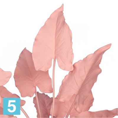 Каладиум куст искусственный Alseed, розовый, h-55 см., силикон, в интерьерном кашпо, d-17 см. в Москве