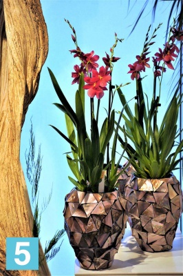 Напольное кашпо Fleur ami Shell Orchid Planter mother of pearl 17-d, 24-h, коричневое в #REGION_NAME_DECLINE_PP#