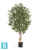 Олива искусственная TREEZ Collection Твист с плодами 120h