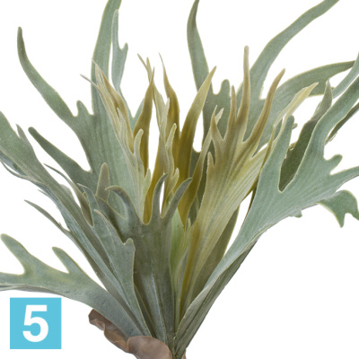 Папоротник Стегхорн искусственный (Оленьи рога) большой куст TREEZ Collection 55-d, 27-h в #REGION_NAME_DECLINE_PP#