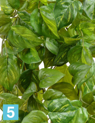 Потос Ауреум искусственный TREEZ Collection ампельный h-55 в #REGION_NAME_DECLINE_PP#